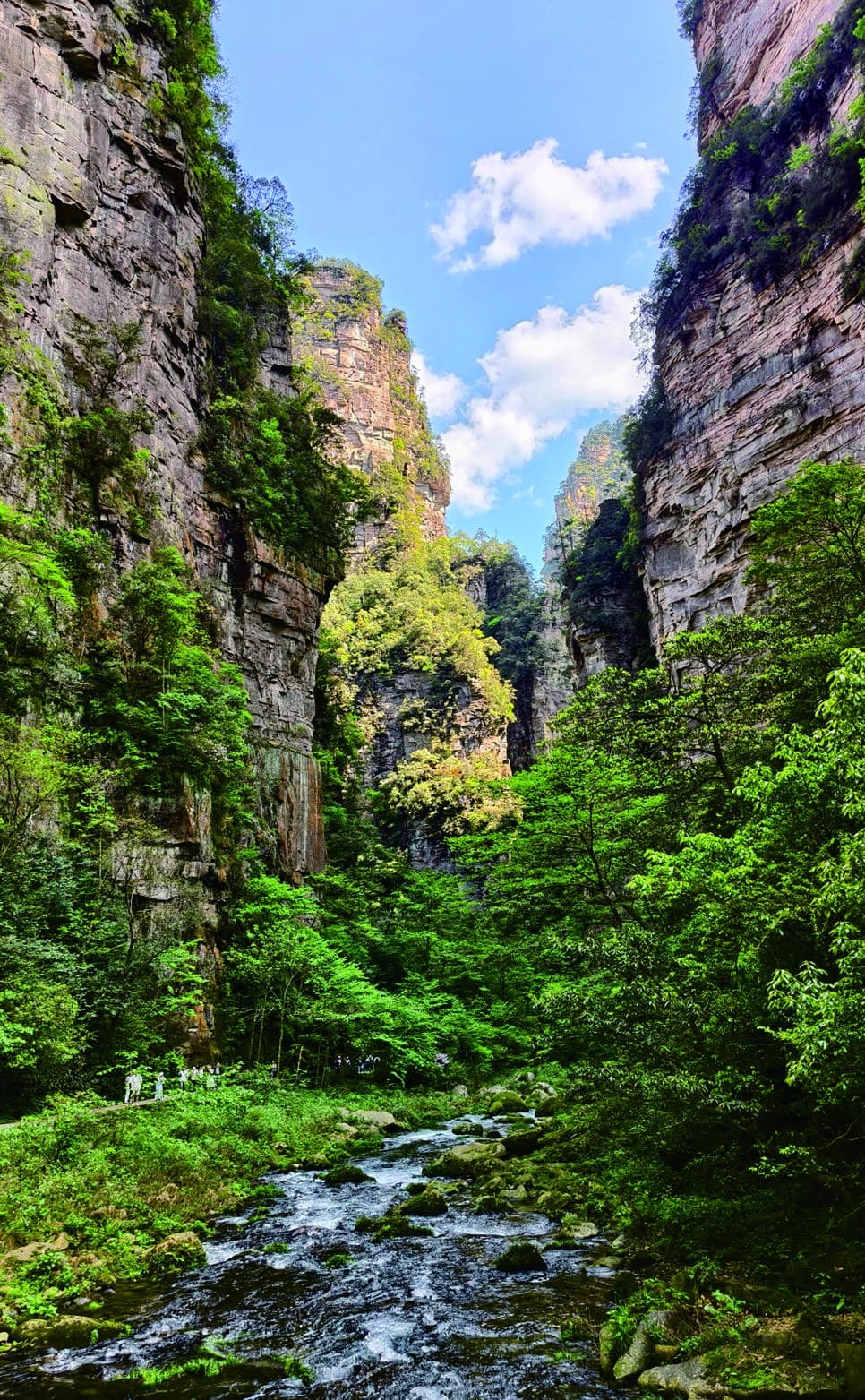 Official Tour Guide Manual photograph looking through the Golden Whip Stream gorge
