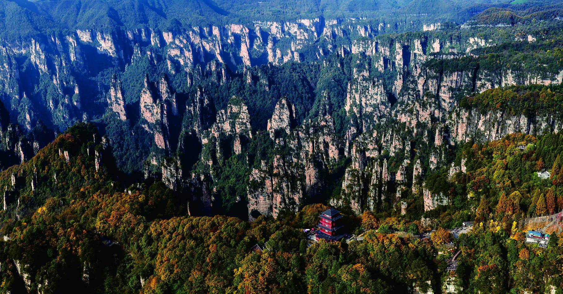 Wide Tianzi Mountain panorama of layered quartz-sandstone peak forest