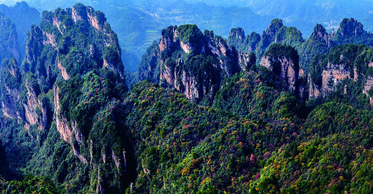 Layered forested sandstone walls across Yangjiajie