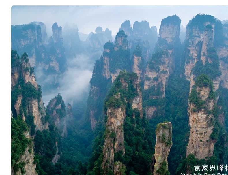 Sandstone pillars rising through blue-grey mist in Yuanjiajie