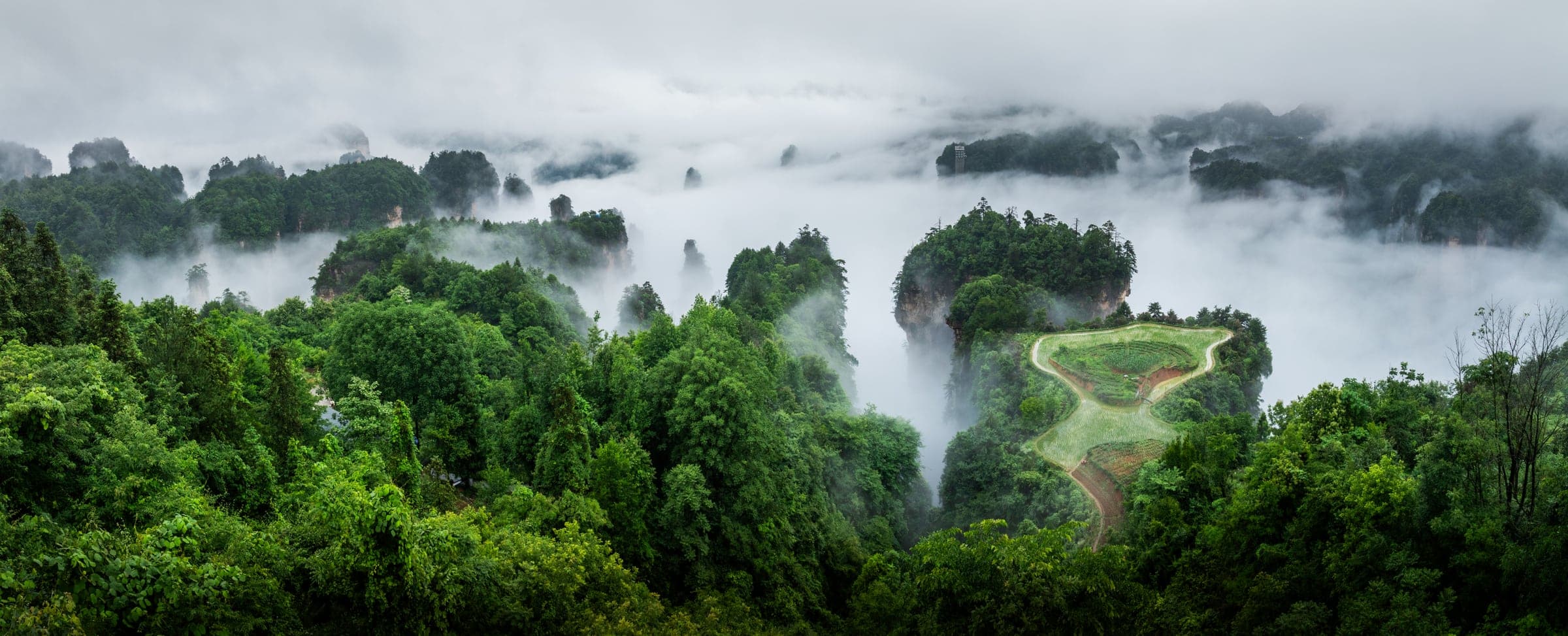 Forested sandstone hills rising through a broad sea of cloud.