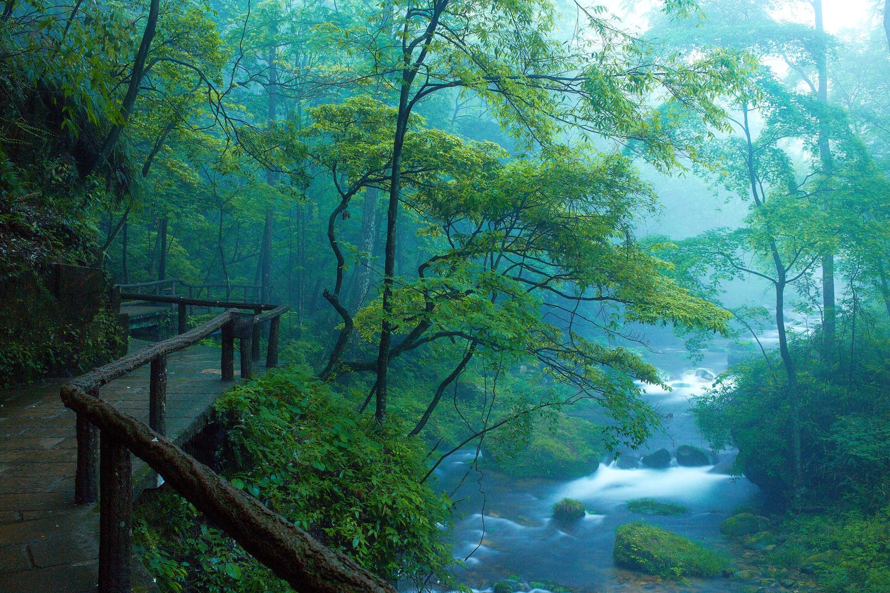 A wooden forest path beside flowing water and trees.