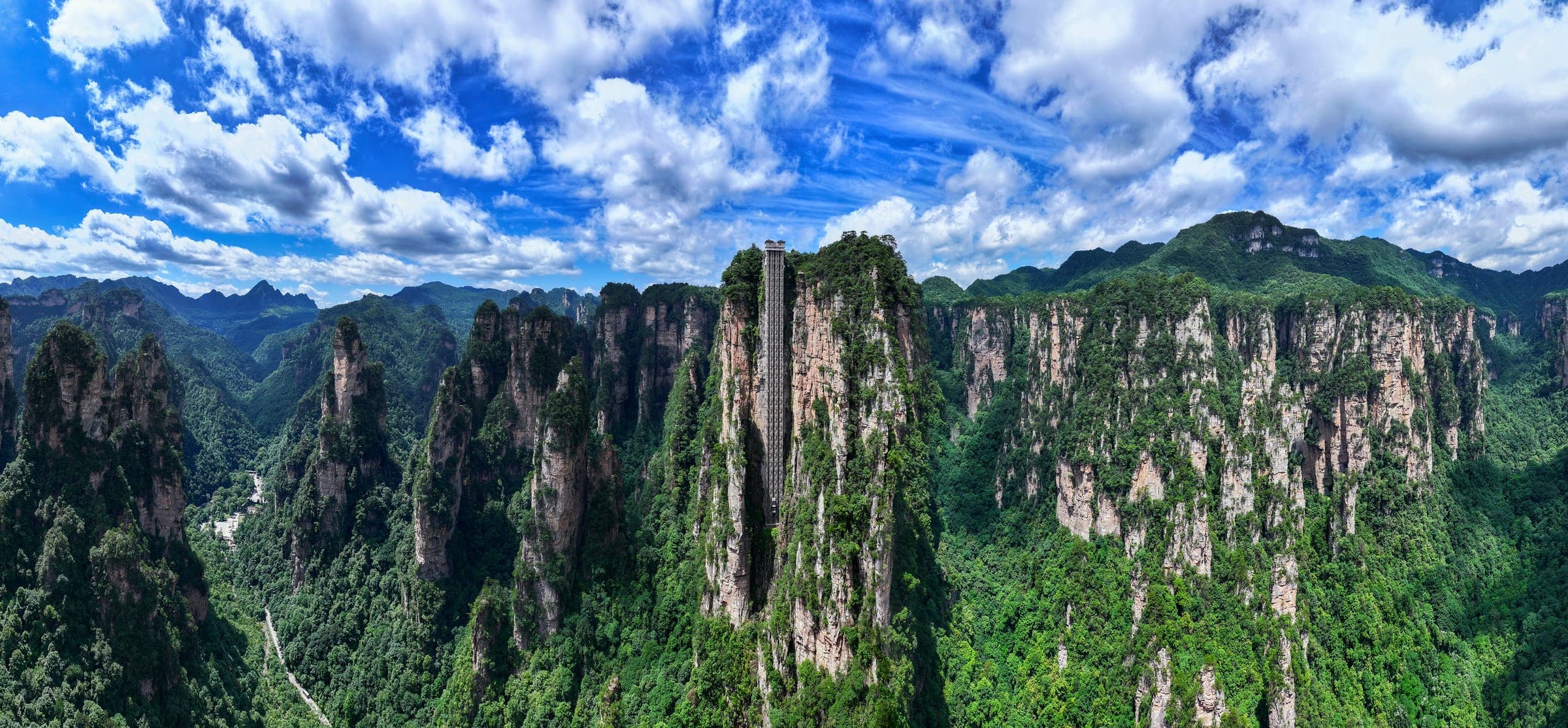 A wide sandstone ridge and forest panorama beneath blue sky.